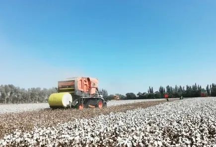 棉花生产全程机械化亟待提档升级