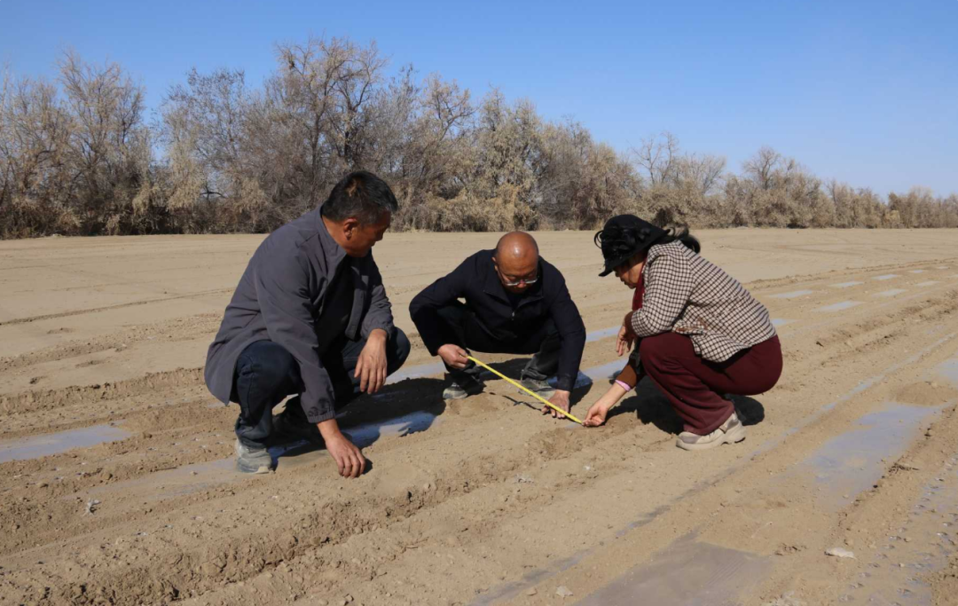 一四九团17.1万亩棉花播种拉开序幕