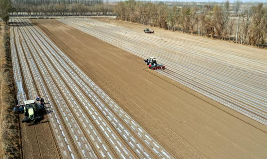 三团逾11万余亩棉田陆续开展棉花播种工作