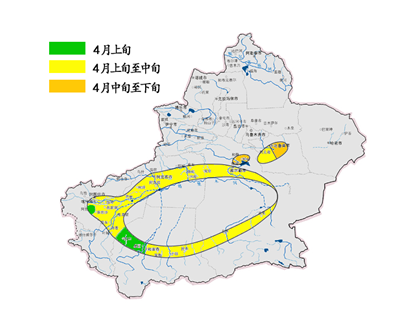 新疆棉，准备开播！